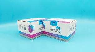 單核細胞增生李斯特菌恒溫核酸檢測試劑盒